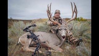 Big Bear Outdoors-Trophy SD Archery Mule Deer