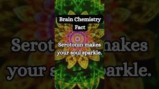 NeuroSpark: Unleash Your Brain’s Secret Dopamine Surge!