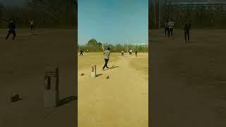 Gold #shorts #cricket #cricketlover #cricbuzz #cricketshorts #cr7 #m10 #fifa #livescore #trend #vi 