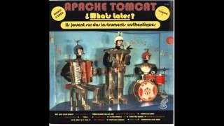 Apache Tomcat - La Hacienda