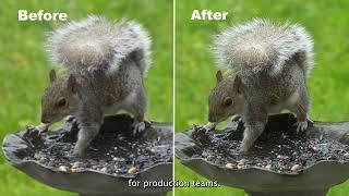 Project Starlight: A Major Breakthrough in AI Video Enhancement