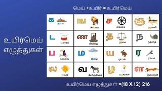 க ங ச ஞ வரிசை சொற்கள்| உயிர் மெய் எழுத்துக்கள்|க முதல் ன வரிசை| அ வரிசை @Tamil_Kidz1503