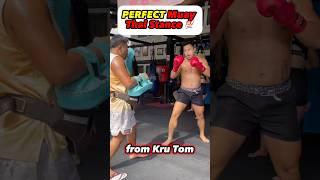 PERFECT Muay Thai stance 