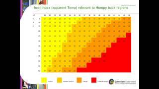 Humpy Back in Sheep
