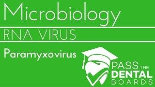 Paramyxovirus - RNA Virus - NBDE/USMLE