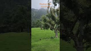Bhadraj Temple Route | Dehradun - Mussoorie - Cloud End - Bhadraj