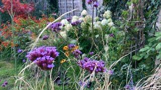 How to build a cottage garden border // Part 3 // border height, colour & depth explained