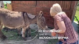 Екскурсія 2 в 1: віслюки + равлики