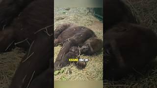 The Love of a Mother ️