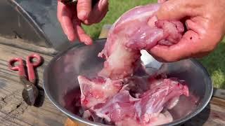 How to cook and clean snapping turtle