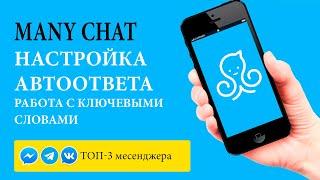 Many Chat Урок 3  Настройка автоответа по ключевым словам