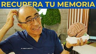 Recuérdalo: El Mejor Alimento para tu Cerebro 