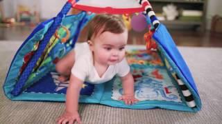 Meet the Discovery Seas Multi Mode Gym from Baby Einstein