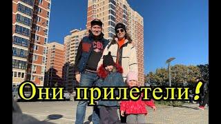 Они прилетели! Моя семья приехала в Краснодар