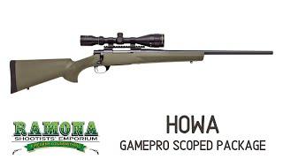 A Look at Howa - GamePro Scoped Package