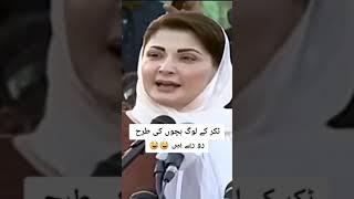 Maryam Nawaz Fan Lover(3)