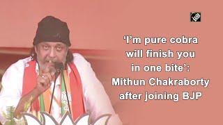 ‘I’m pure cobra, will finish you in one bite’: Mithun Chakraborty after joining BJP