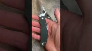 Spyderco Caly 3 vs Native