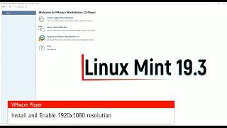 Linux Mint 19.3 on VMware and resolution 1920x1080 - SOLVED