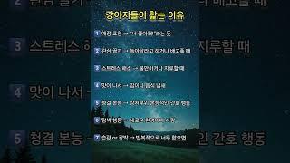 강아지들이 핥는 이유 #강아지 #명상 #명언 #삶 #삶의지혜 #좋은글 #좋은글귀 #인생 #인생명언 #인생조언 #아침 #아침묵상 #건강 #철학 #부자 #자기계발 #영어 #학습