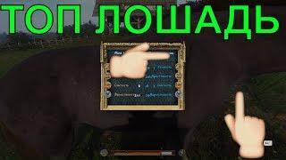 где и у кого купить топ, лучшую, быструю и вместительную лошадь в Kingdom Come: Deliverance