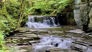 Fillmore Glen State Park: Serene Gorge in Central New York