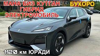 BYD У́РНИГА ЯНГИЧА ЭЛЕКТРОМОБИЛИ! АРЗОНИГА СОТИЛАДИ 5 ОКТЯБРЬ  2024 