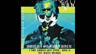 2023 [FREE] GUNNA SAMPLE PACK - WUNNA (GUNNA, YOUNG THUG , YSL , CUBEATS , TURBO , WHEEZY)