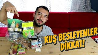 MUHABBET KUŞU & SULTAN PAPAĞANI İHTİYACI OLAN HERŞEY! (Kuşlarınızı Nasıl Beslemelisiniz?)