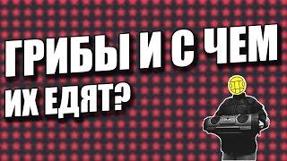 МЫ ТИПА ГРИБЫ // ГРИБЫ И С ЧЕМ ИХ ЕДЯТ?