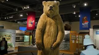 Museum of the North - Top 10 things to do in Fairbanks, Alaska