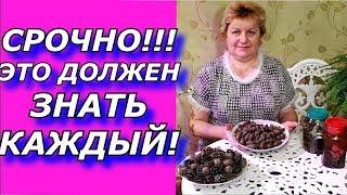 СОСНОВЫЕ ШИШКИ ! Инсульт. Профилактика!!!ФАНТАСТИЧЕСКИЙ РЕЦЕПТ - ВСЕГДА ПОД РУКОЙ!!!.