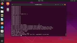 How To Install Redis Desktop Manager On Ubuntu 19.04