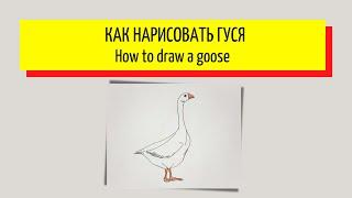 Как нарисовать гуся - How to draw a goose