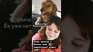 Время идет. Мои 10 лет жизни в Японии