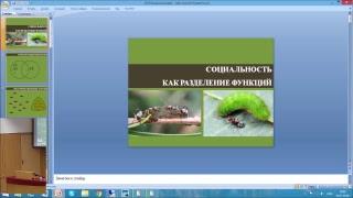 Прямая трансляция пользователя Институт проблем экологии и эволюции РАН
