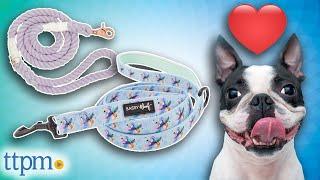 Adorable Pups Review the SASSY WOOF Stylish Leashes and Harnesses! | TTPM Pet Review