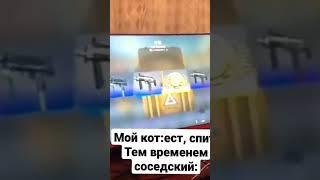 всем бы такого кота #ксго #кот #highlights