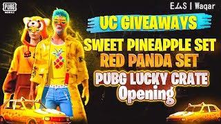 SWEET PINEAPPLE SET | Red Panda Set UC Giveaway | EムS丨Waqar