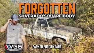 FORGOTTEN Silverado Square Body Parked For 12 YEARS! Parts Truck To Cheap Daily Driver?