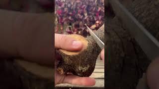 Radagast’s pipe  #lotr #carving #woodworking #asmr #nature #relaxing #woodcarving #art