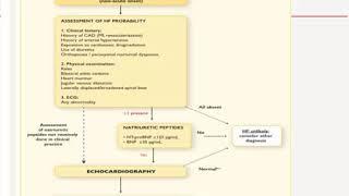 dr amira noor   Diastolic Heart Failure