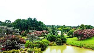 Norfolk Botanical Garden Tour