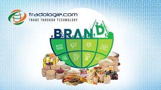 Become a Global Brand with Tradologie.com