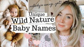 Unique 'Wild Nature' Baby Names - offbeat nature names nobody's using...yet!  SJ STRUM