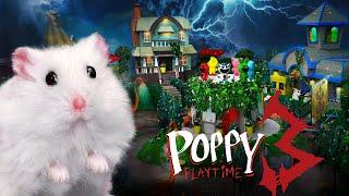 If My Hamster Was In Poppy Playtime 3 - Hamster Maze In Real Life