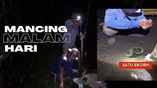 Mancing Sidat/Julit Malam Hari || Hasilnya Memuaskan || @jungwischannel