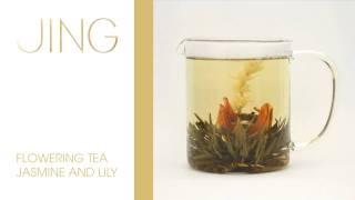 JING Tea - Flowering Jasmine and Lily Tea