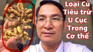 Loại Củ tiêu trừ u cục trong cơ thể. PHAN HẢI Channel