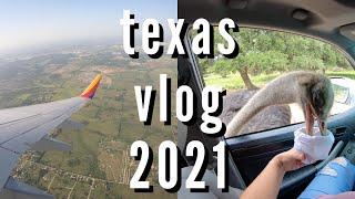 TEXAS VLOG 2021 | The Bats Under Congress Ave Bridge in Austin  + Wildlife Ranch in San Antonio